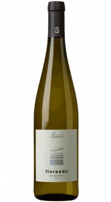 Andrian Sauvignon Floreado 2019